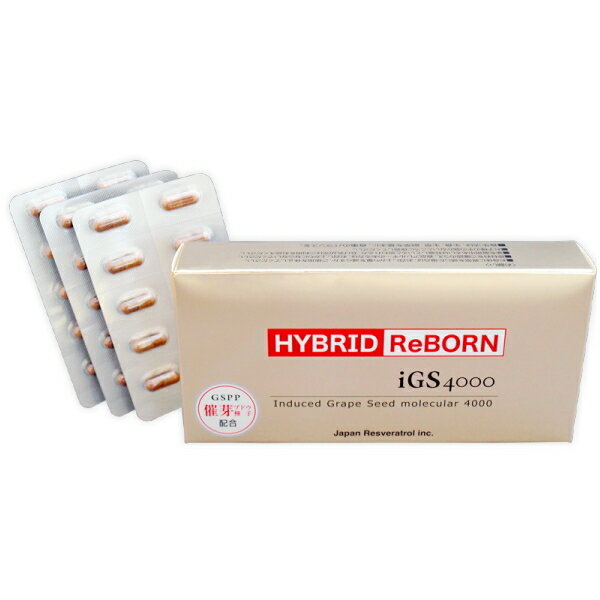 ハイブリッド リボーン 30カプセル 日本レスベラトロール iGS4000 催芽ブドウ種子 GSPP サプリメント αリポ酸 アメリカジンセンエキス ナイアシン HYBRID ReBORN