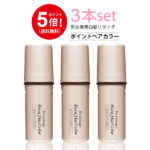 3本セット【ポイント5倍】【あす楽対応】ビューステージ ポイントヘアカラー 毛染め ヘアカラー 白髪染め 女性用 男性用 ヘアカラートリートメント レディース カラー 白髪 ヘア 毛染め白髪隠し 白髪かくし 部分白髪染め 部分染め 茶 黒 贈り物 プレゼント